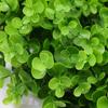 Spring Wreaths for Porch Yard Wedding Decoration Farmhouse Home Hanging Decor,36CM