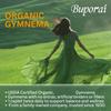 Organic Gymnema Capsules Support Balanced Health, Enhance Pancreatic Function, Are Vegan, and Suitable for Adults.