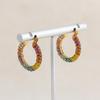 Exquisite Colorful CZ Hoop Earrings Stainless Steel with Cubic Zirconia Round Circle Ear Buckle Luxury Women Jewelry Party Gifts