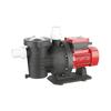 Solar Brushless DC Pool & Seawater Circulation Pump for Seafood Tanks & Aquaculture