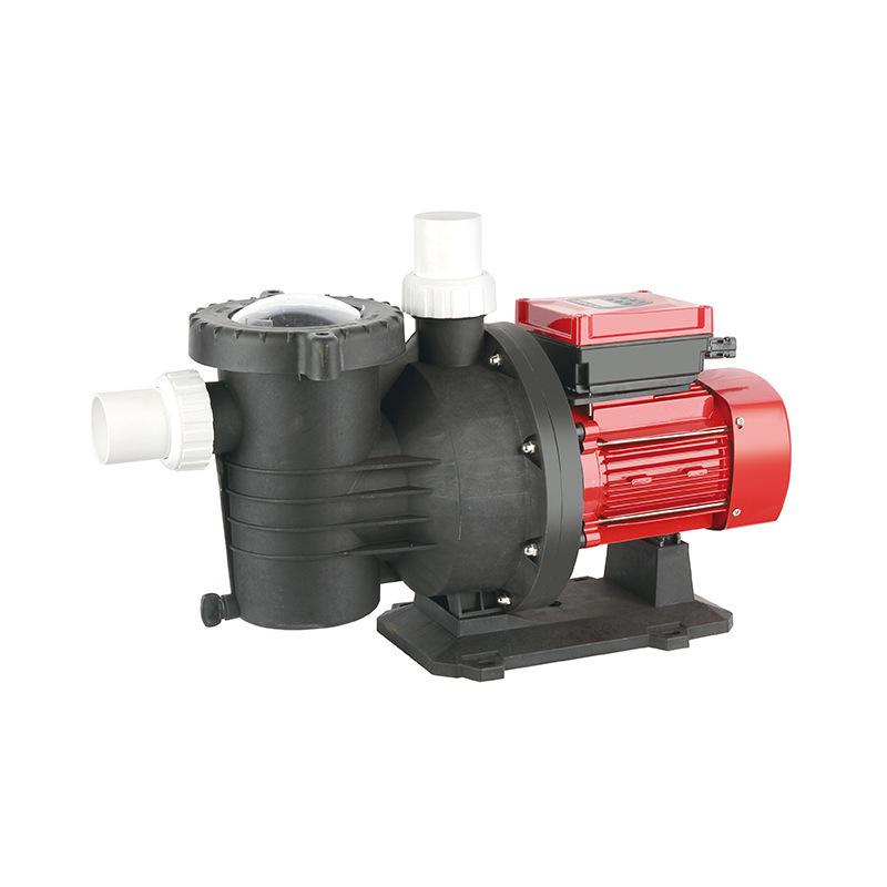 Solar Brushless DC Pool & Seawater Circulation Pump for Seafood Tanks & Aquaculture