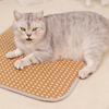 Cooling Mat Pad for Dogs Cats Dog Sleeping Bed Pet Cat Cushion Indoor