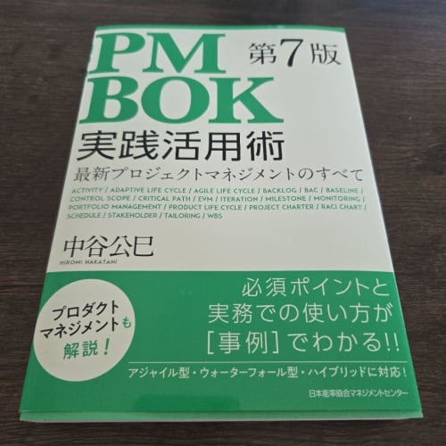 

PMBOK 7th Edition Practical Use Techniques