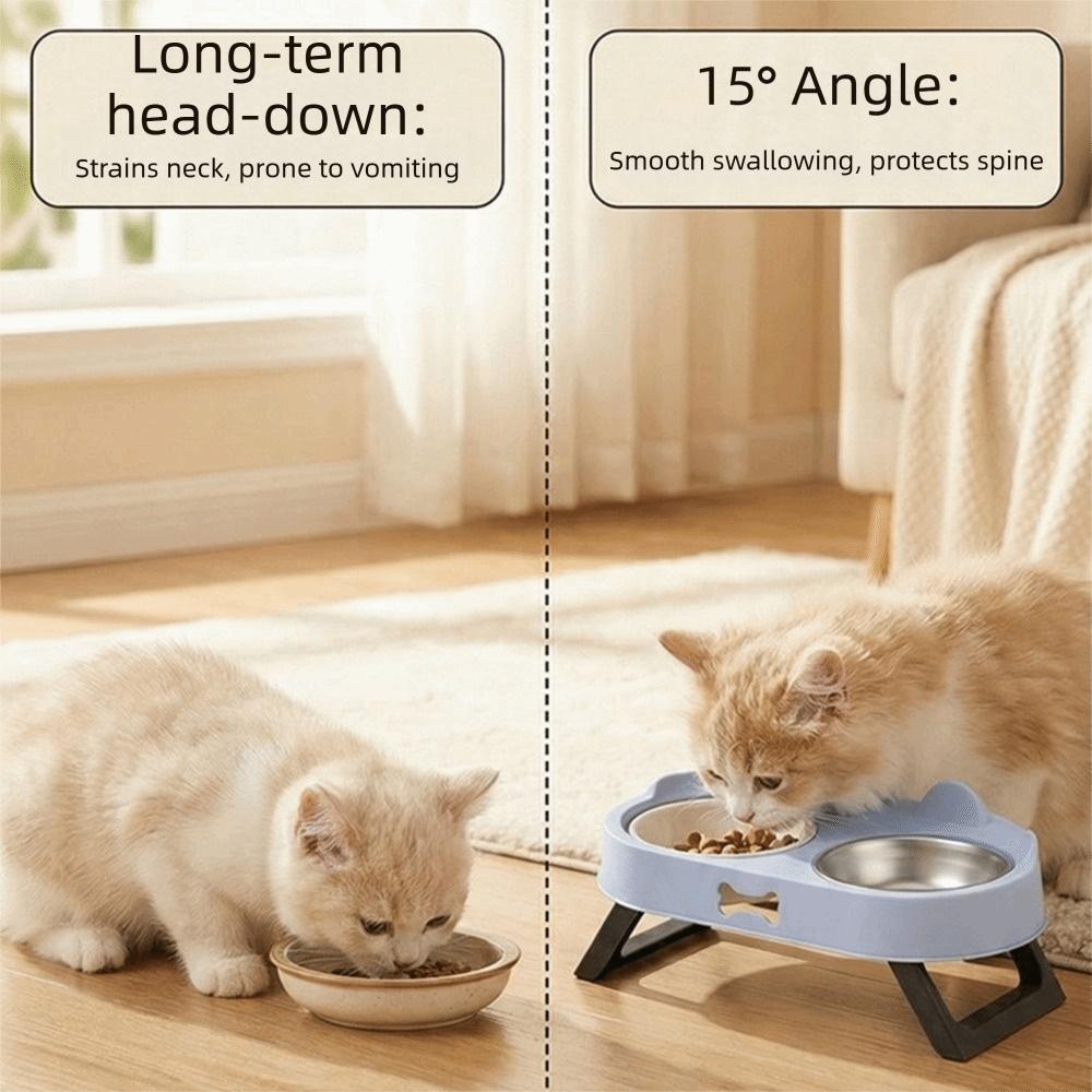 Stainless Steel Raised Pet Feeder Double Bowl Cat Feeding Dish Elevated Cat Bowl For Cats