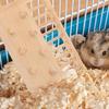 1 Stück Holz Hamster Kletterleiter Spielzeug Hängende Brücke Sprungbrett Spielplatz Spielzeug für Kleintier Hamsterkäfig Landschaftsbau Spielzeug