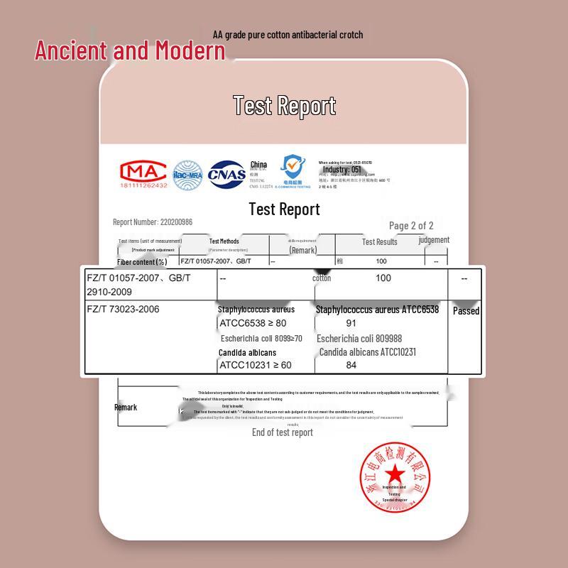 Gujiin Women's Cotton High-Waist Leak-Proof Physiological Panties