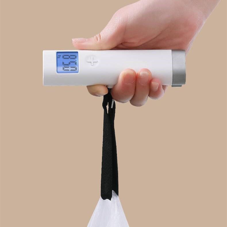 Rechargeable 50kg Handheld Luggage and Fishing Scale
