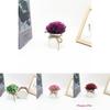 Plastic Veronicastrum Caulopterum Mini Pot With Roped Butterfly Design For Indoor Outdoor And Special Occasion Use