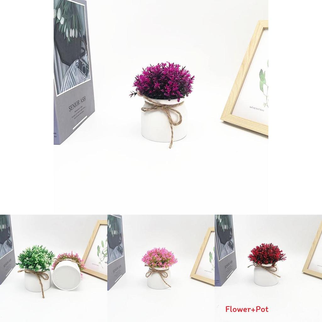 Plastic Veronicastrum Caulopterum Mini Pot With Roped Butterfly Design For Indoor Outdoor And Special Occasion Use