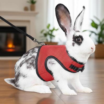 Atmungsaktives Mesh Kaninchen & Kleiner Hund Brustgeschirr mit Leine