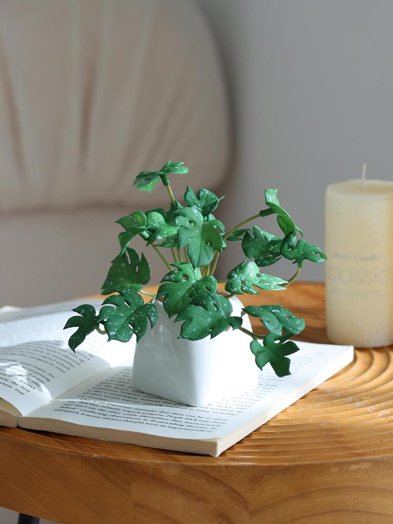 Miniature Succulent Bonsai Desk Ornament: Green Plant Props for Home or Office Decor