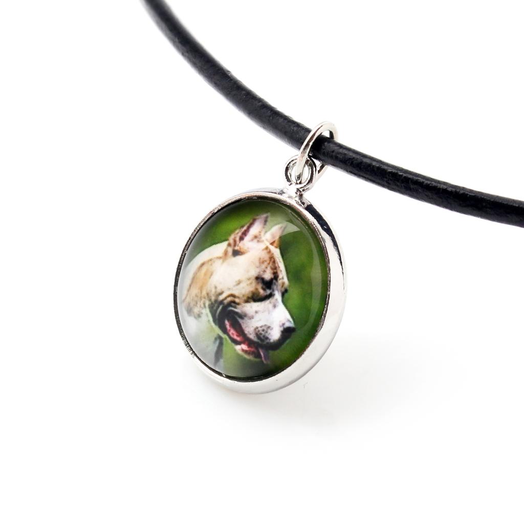 Pit Bull, American Pit Bull Terrier, Pitbull Terrier, APBT – A set of jewelry with your photo, handmade set | Art-Dog