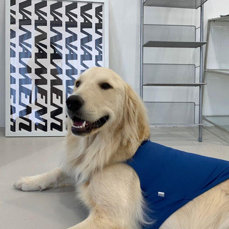 BARKDOG 3-STEP Cool Vest M-6XL 3colors