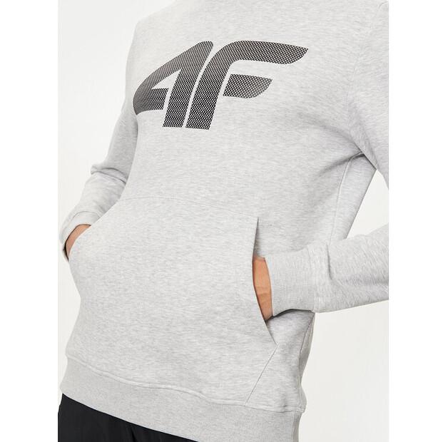 Толстовка 4F 4FWMM00TSWSM1464