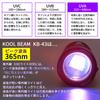 KOOLBEAM KB-43 365nm Mini LED UV Black Light, Uses One AA Battery, 365nm, for Anisakis, Fungus Detection, and Cat Fungus