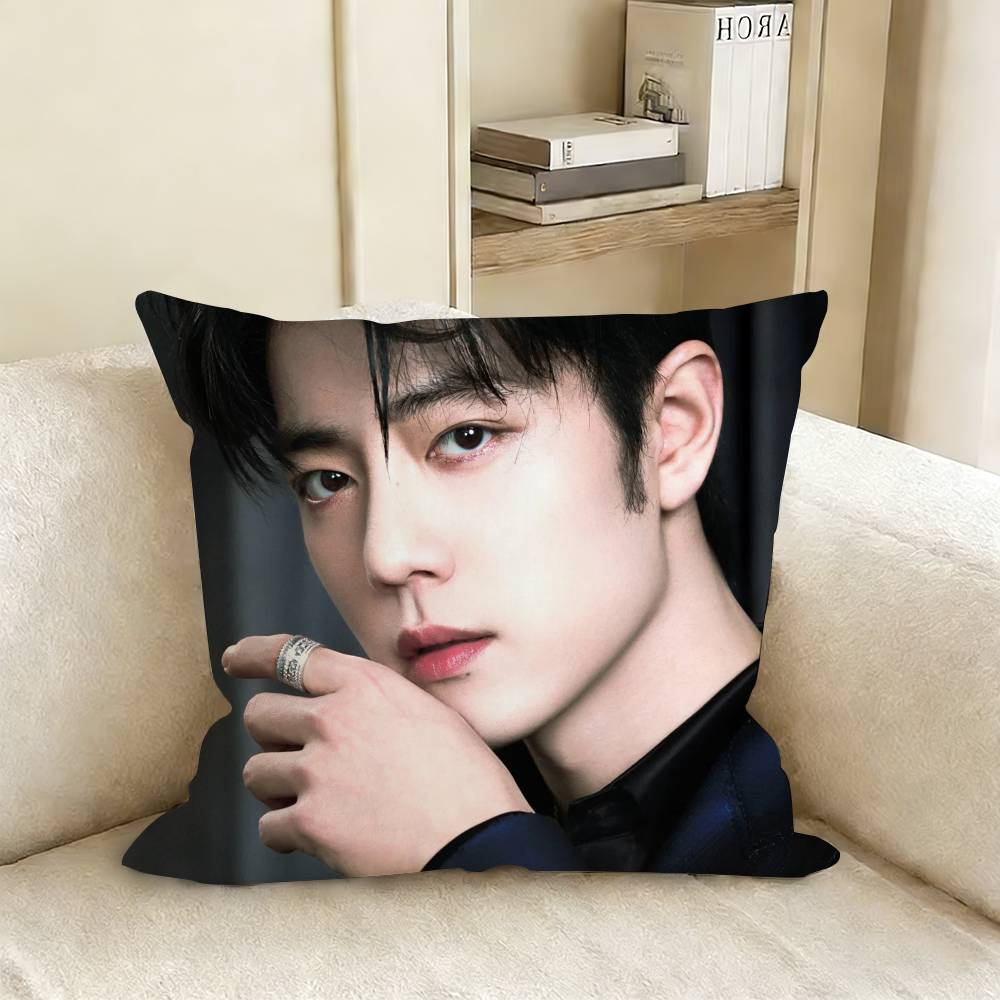 Xiao Zhan Sean Various Sizes Square Pillow Case For Car Home Bedchamber Decor