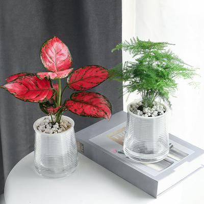 DIY Vase Flower Pot Desktop Ornaments Double Layer Potted Green Plants Plastics Home Decorations
