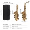   Alto Saxophone, Brass Lacquer Gold E Flat SAX 875 Key Type with SAX Accessories for All Types of Music