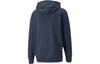 PUMA Long Sleeve Hoodie 534057-84