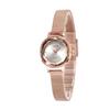 Small Student Watch, Simple Literary Waterproof Stainless Steel Mesh Belt Watch, Women'S Versatile Quartz Watch