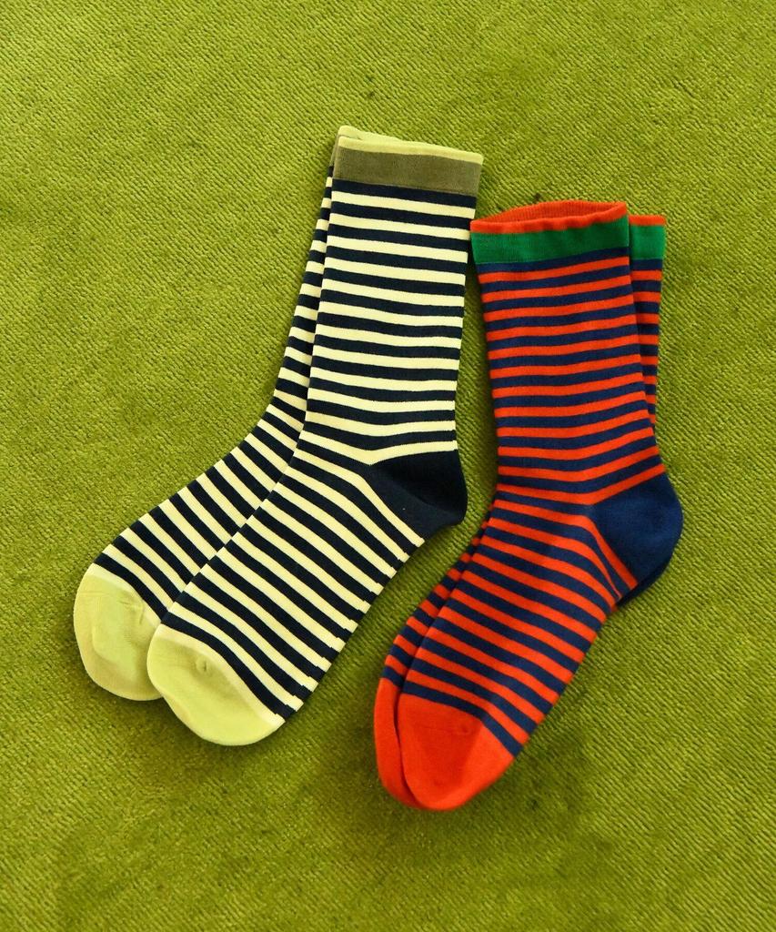 PIGMENT Color Day Socks (Kso260124)