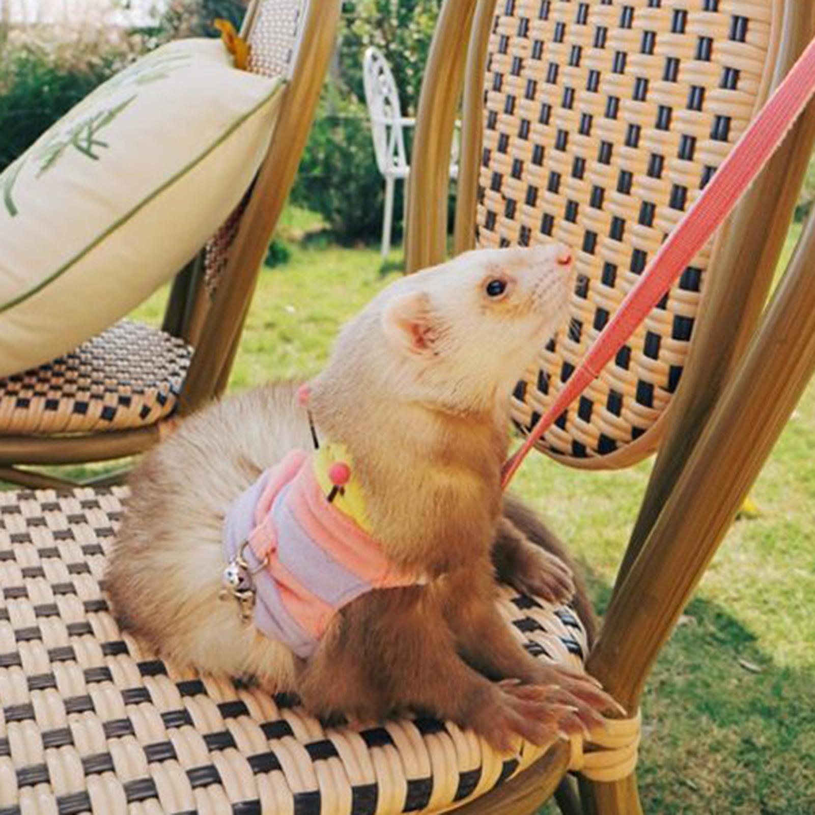 

Поводок для хорька, поводок для кролика, жилет-гусеница, жилет для выгула мелких животных, товары для домашних животных для енота, белки, ежа оранжевый