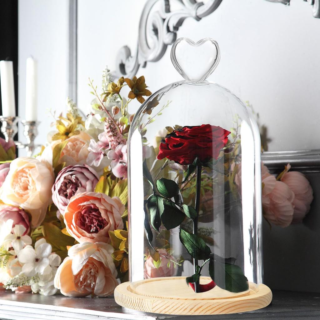 PATIKIL 5.1" x 3.9" Glass Dome Cloche, Clear Glass Bell Jar Display Case, Tabletop Centerpiece with Wooden Base, LED Light, Plant, Home Decor, Natural