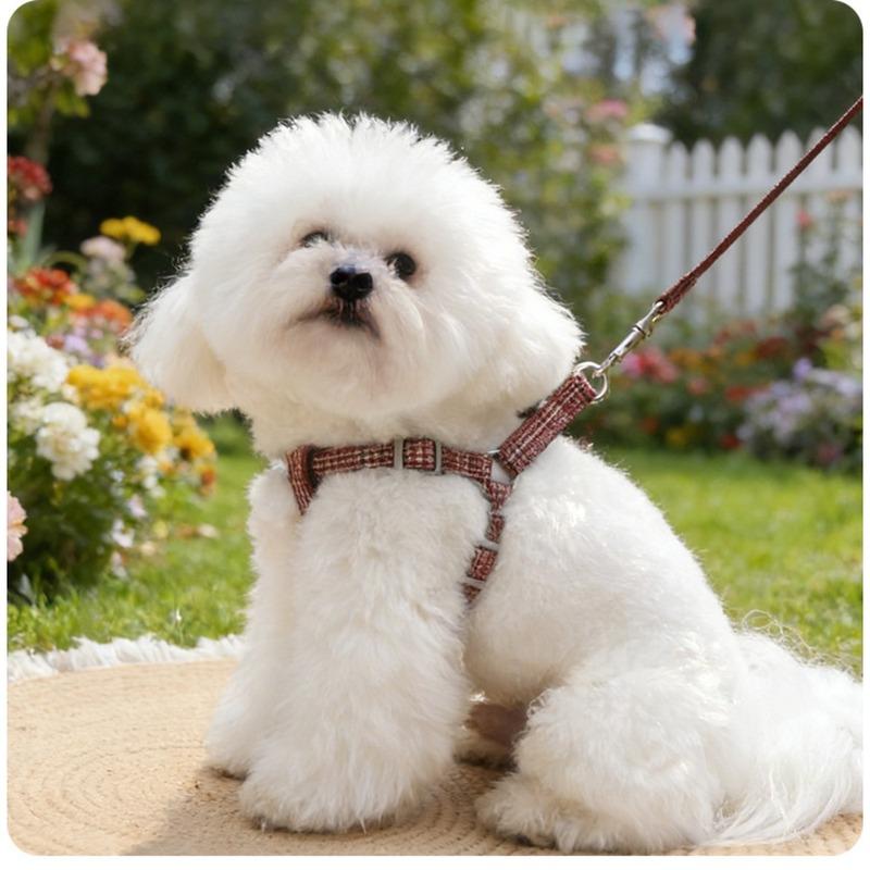 Pet Dog Chest and Back Traction Rope Y-shaped Chest Strap Vest Style Dog Walking Rope Teddy Bear Shiba Inu Vest Dog Rope Set