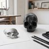 Yousheng Resin Skull Ornament, Dark Style Skull Halloween Prop, Sturdy Durable Teaching Model, Matte Black Anatomy