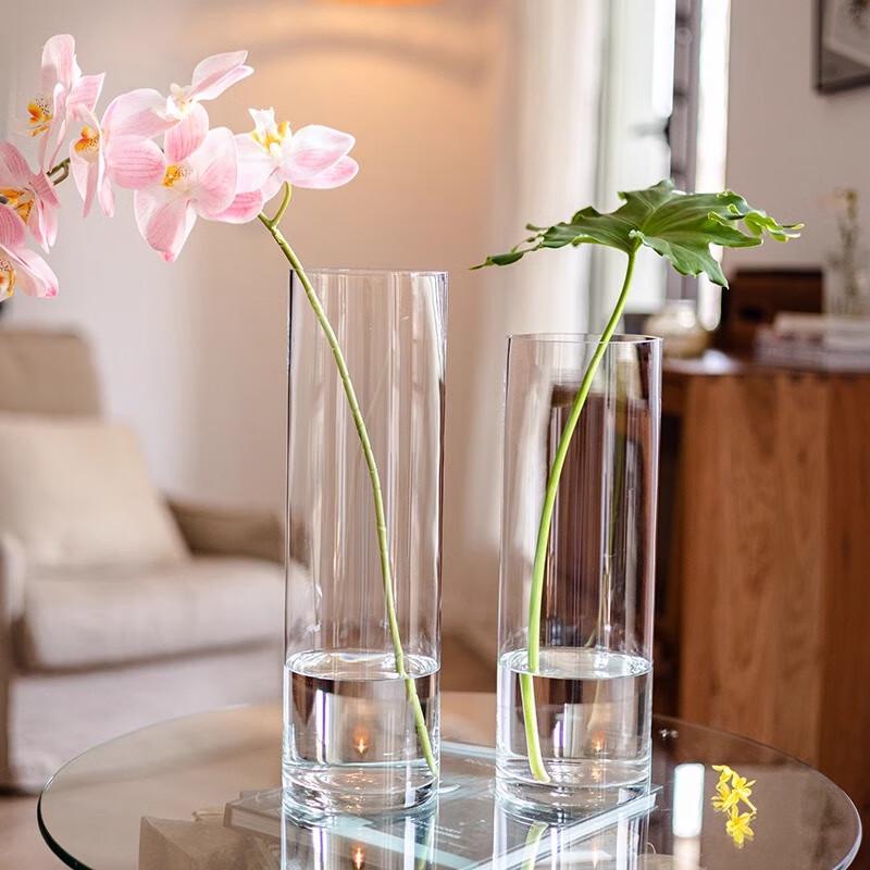 

Hanwei Modern Clear Glass Flower Vase