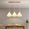 Modern Decor LED Chandeliers Semicircular Creative Pendant LightsFor/Restaurant/Bar/Clothing/Store/Home Lighting Decor Fixtures