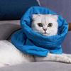 Comfortable Pet Collar Felines After Spays Operations Flexible Size Stop Scratching and Protects Wounds Effectively
