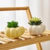 Artistic Cartoon Home Decor Ornaments Room Decoration Succulent Plant Pots Room Tabletop Planters Decorative Flower Pots Crafts