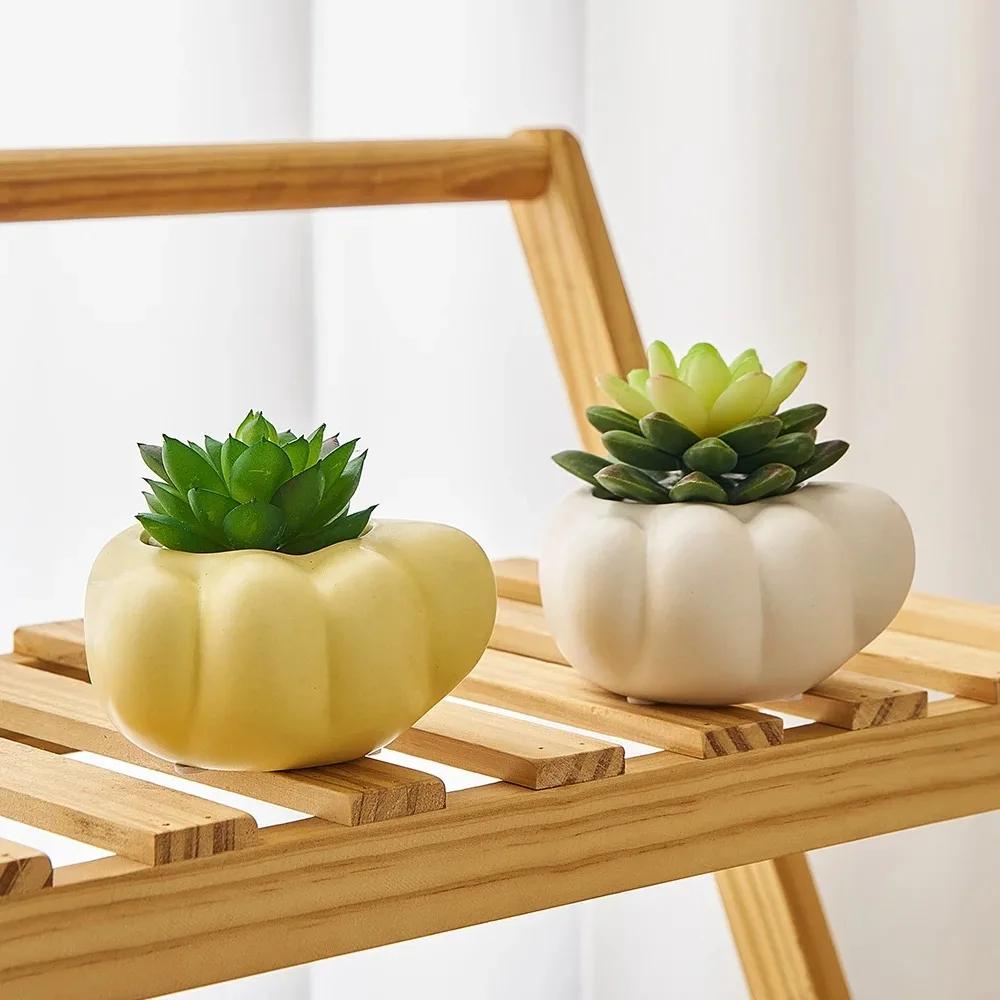Artistic Cartoon Home Decor Ornaments Room Decoration Succulent Plant Pots Room Tabletop Planters Decorative Flower Pots Crafts