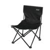 Coleman Fan Chair Double Outdoor Camp Park Storage Case Leisure Portable Balcony Compact