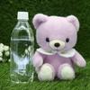 Take Off Baby Bear Drop Retro Pastel Colored Bear with Cute Flower Embroidery On Collar Plush Toy S Purple [Music Box Included]