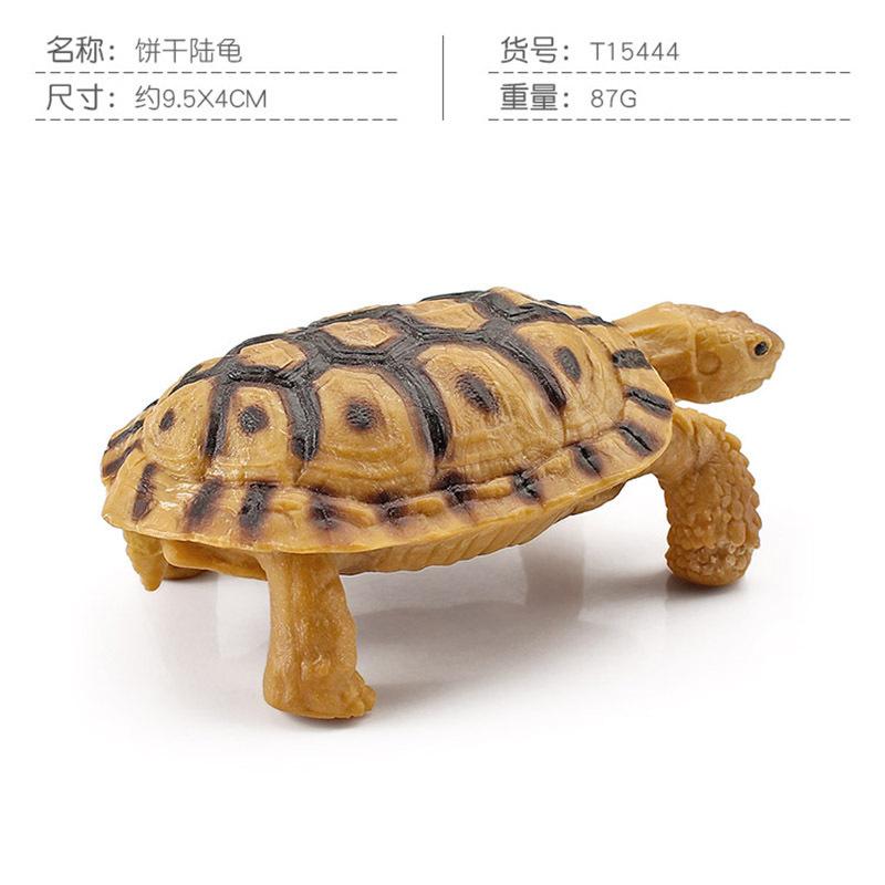 Simulation Amphibian Reptile Model Tortoise Tortoise Star Tortoise Static Decoration Cognitive Ornament Toy