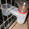 5Pcs Birds Drinker Feeder Fit for Soda Pop Water Bottle Cup Chicken Pigeons Feeder Trough Pet Feeding Accessories