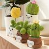Crochet Cactus Potted Plants, Handmade Knitted Cactus for Home Office Car Decoration, Decorative Plants for Lasting Beauty, Gift for Women Family