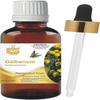 Levenmooi Galbanum (Galbanum-Riesenfenchel) Reines und natürliches ätherisches Öl in therapeutischer Qualität (Glas)