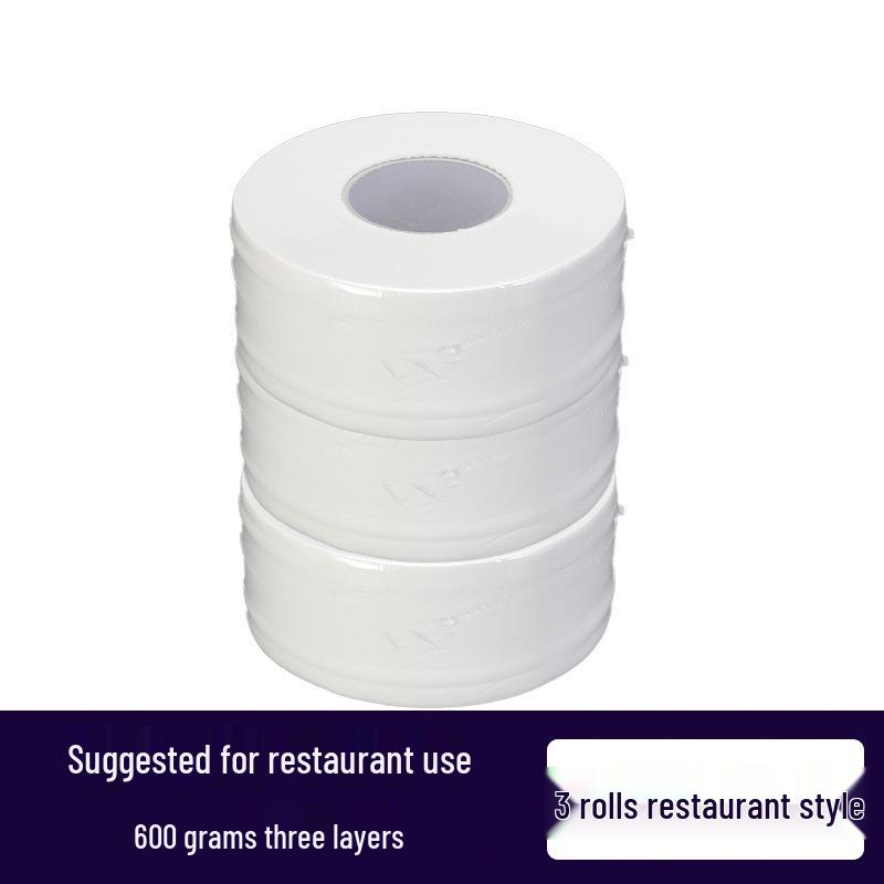 Wall-Mounted Waterproof Jumbo Toilet Paper Holder for Hotel Bathrooms