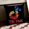 TTikTokK Cushion Cover Reversible Soft Durable Pillow Cover Home  Car MultiScene Use for Daily Comfort