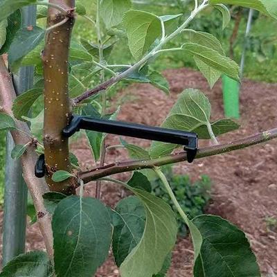 15 Adet Meyve Ağacı Klipsi Bitki Sarmaşıkları Bükücü Bahçe Bitkileri Destek Bükme Şekillendiriciler Dalları Çekici Bükme Şekillendirme Bahçe Aletleri