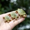 5 Pièces Nouvelle Tortue Miniature Réaliste Simulation Poupée Modèle Créatif Rétro Micro-paysage DIY Succulente Aquascaping Décor Ornements