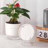 Automatic Absorbent Small Flower Pot Transparent Hydroponic Utensil Resin Hydroponic Plant Special Pot