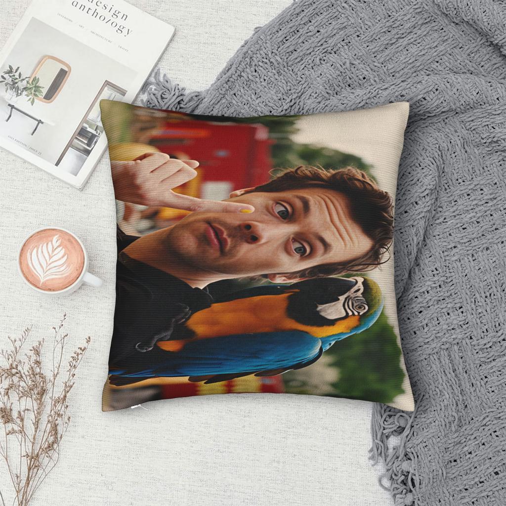 Harrys S-Styles Kiss Al the Time Pillow Case Square Pillow Cover Kawaii Cushion Cover For Living Room Chair