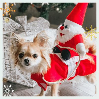 Chien Chat Chien Moyen Grand Golden Retriever Vêtements de Noël pour Chat Tenue d'Équitation Père Noël Chien Fournitures pour Animaux de Compagnie