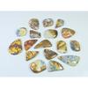 281Cts. Natural Forest Agate Fancy Cabochon Loose Gemstone 17 Pcs Lot C-1946