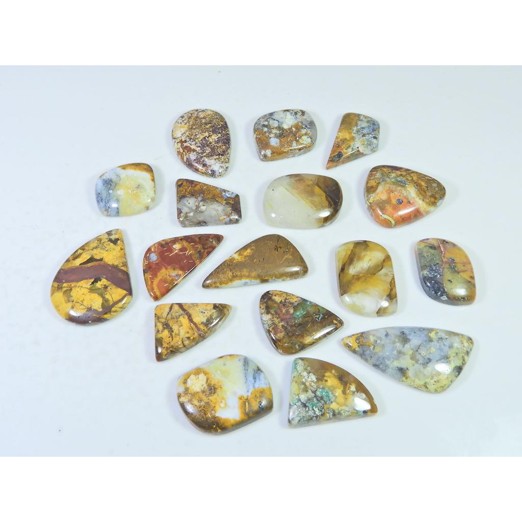 281Cts. Natural Forest Agate Fancy Cabochon Loose Gemstone 17 Pcs Lot C-1946