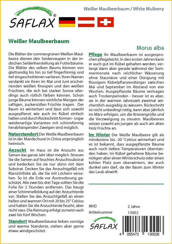 SAFLAX Moruše bílá - 200 semen - Se substrátem pro lepší pěstování - Morus alba